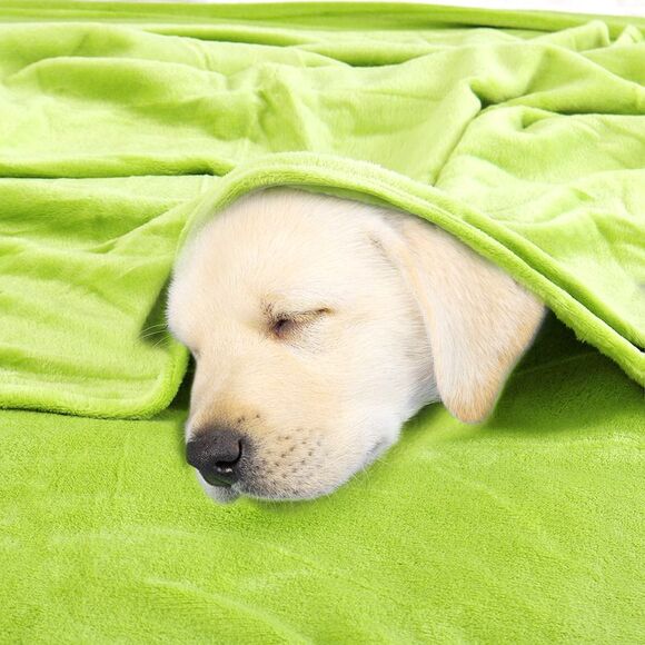 Flannel Fleece Blanket Soft Lightweight Bed Blanket Yellow Green 78"x90" - Picture 4 of 6